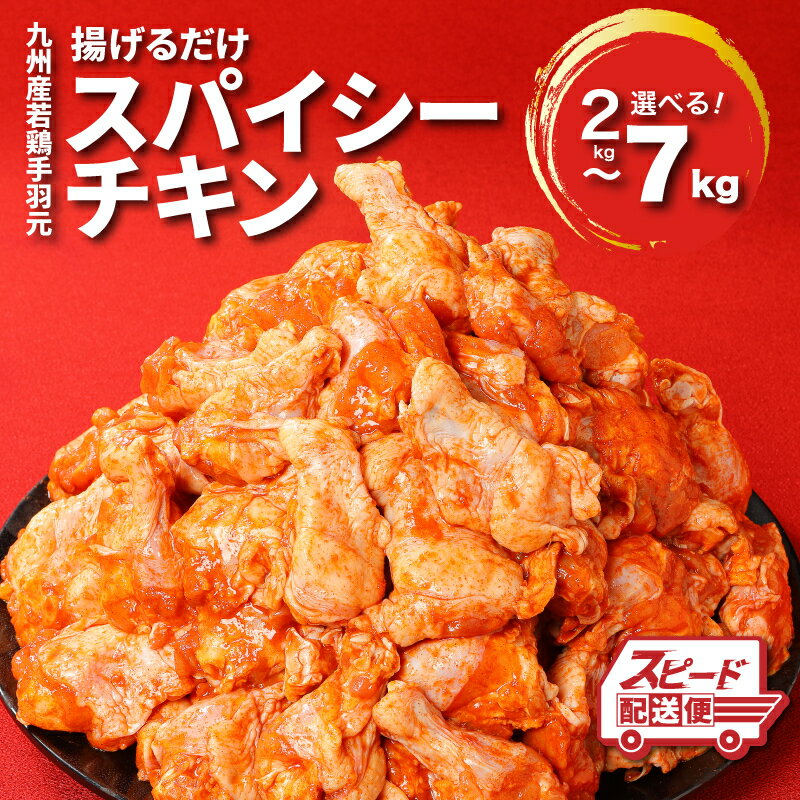 訳あり！九州産若鶏手羽元 揚げるだけスパイシーチキン8kg【宮崎県木城町】