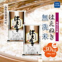 【ふるさと納税】 令和6年産 真室川町厳選 はえぬき ＜無洗米＞ 30kg 定期便（10kg×3回お届け）