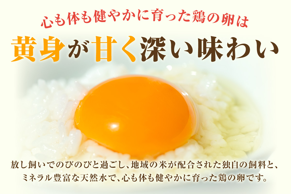 【3か月定期便】放し飼い米たまご35個+5個保証（計40個）