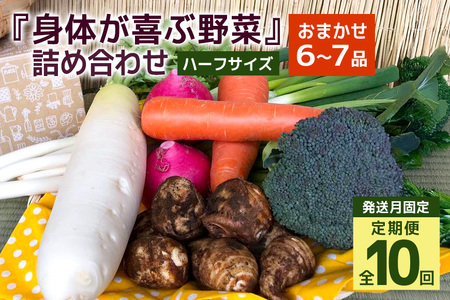 ＜発送月固定定期便＞『身体が喜ぶ野菜』詰め合わせ ( おまかせ ハーフサイズ) 定期便 野菜 詰合せ 全10回 詰め合わせセット お任せ 野菜定期便 季節の野菜 セット 有機栽培 EM農法 産地直送 新鮮 野菜ボックス ギフト 家庭用 茨城県 潮来市 (A03-022)