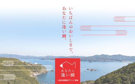 （冷蔵）【２尾】ジュワっと旨み溢れるブランド真鯛 スキンレス 皮あり ／ はさま あなたに逢い鯛。 鯛 真鯛 刺身 しゃぶしゃぶ 鯛めし 三重県 南伊勢町 伊勢志摩