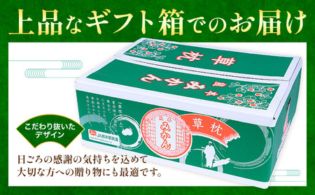 ＜先行予約＞草枕みかん 約4kg 《11月上旬-12月上旬頃出荷》熊本県 長洲町 フルーツ 柑橘 みかん ミカン 草枕 デザート 送料無料