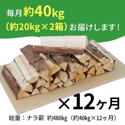 ふるさと納税 東白川村 定期便 全12回 なら薪 中〜大割 約40kg 計480kg 薪ストーブ アウトドア キャンプ |  | 01
