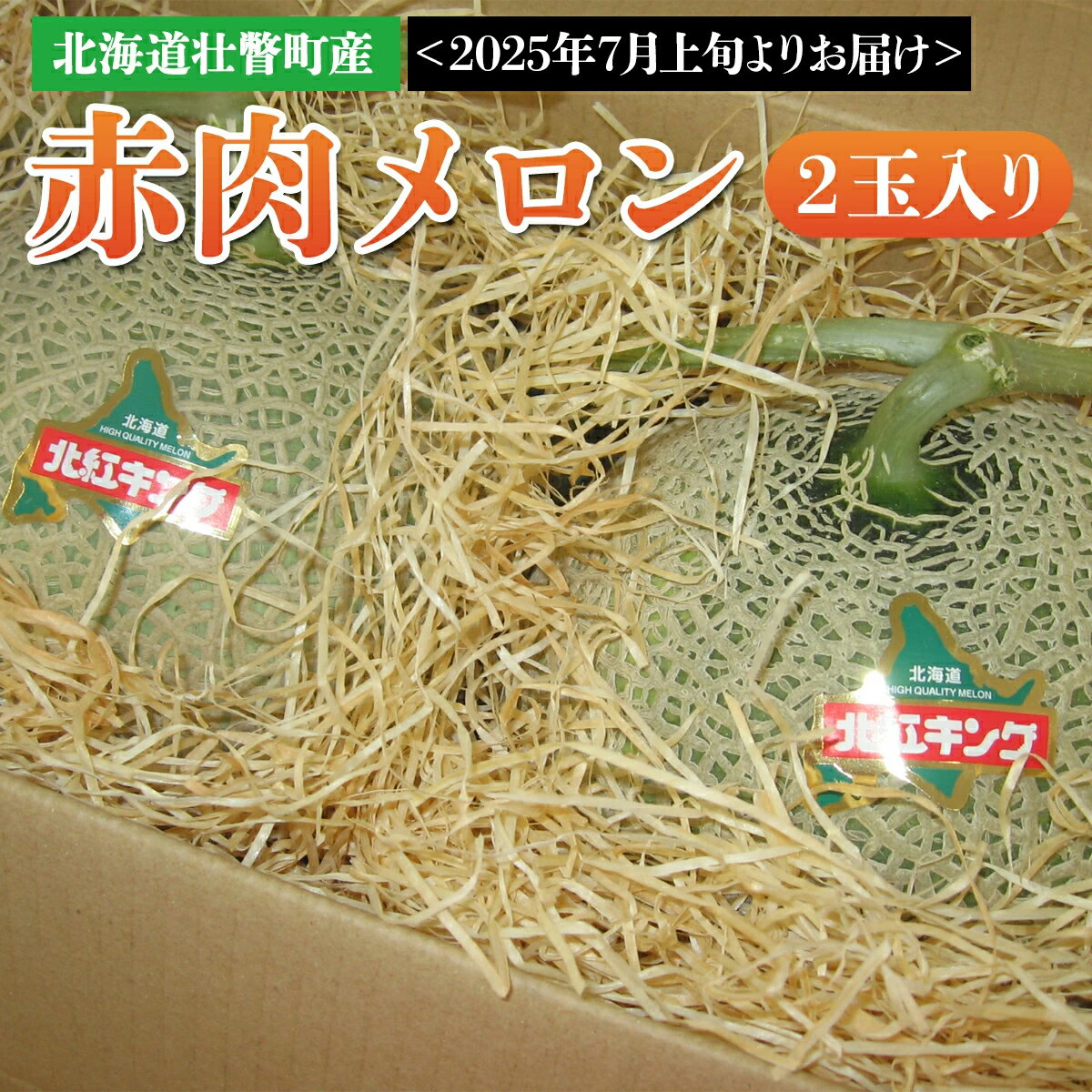 【ふるさと納税】＜2025年7月上旬よりお届け＞北海道壮瞥産 赤肉メロン 2玉入り 【 ふるさと納税 人気 おすすめ ランキング 北海道 壮瞥 赤肉メロン メロン 赤肉 産地直送 北海道メロン 果実 果物 旬 夏 季節商品 贈り物 贈物 贈答 北海道 壮瞥町 送料無料 】 SBTA031