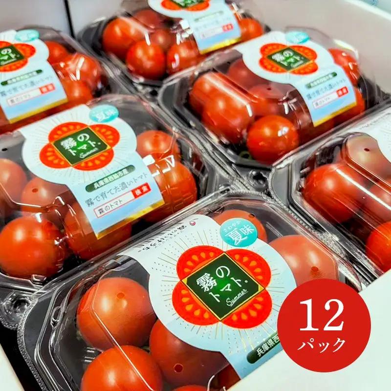【霧で育てた濃厚な味】霧のトマトSummer 200ｇ×12パック（16-18）