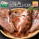 【ふるさと納税】とれピチ鮮魚の一夜干し2尾〜越前三国港漁船「神力丸」船長がお届け！〜