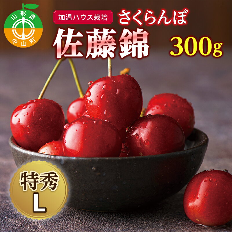 【ふるさと納税】 ≪先行予約≫加温ハウス栽培 2026年 山形県産 さくらんぼ 佐藤錦 特秀 L 化粧詰 300g 2026年4月下旬頃より順次発送予定 先取り 早い 加温 果物 くだもの フルーツ 贈答 ギフト 数量限定 産地直送 F4A-0395