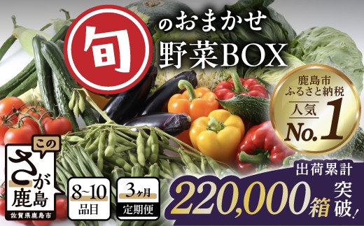 【定期便3ヶ月】旬のおまかせ野菜BOX 定期便 詰め合わせ 8～10品目 【新鮮 採れたて 野菜  じゃがいも 人参 ほうれん草 ミニトマト 小松菜 タマネギ キュウリ 椎茸 など ふるさと納税 佐賀県 鹿島市】C-47