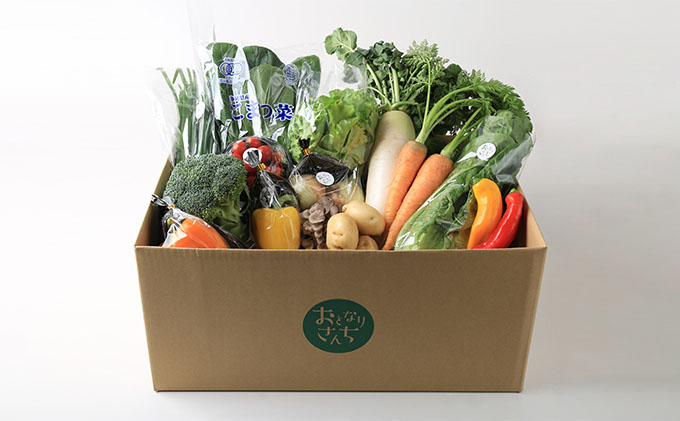 おとなりさんち厳選！浜松から鮮度抜群！旬の野菜BOX【定期便6か月分】【配送不可：沖縄・離島】