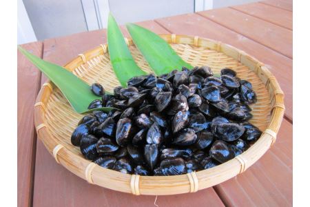 丸元水産 三重県産冷凍蜆 （シジミ） 2.8kg しじみ 魚介 貝 魚貝 海鮮 お吸い物 味噌汁 スープ 023-0006