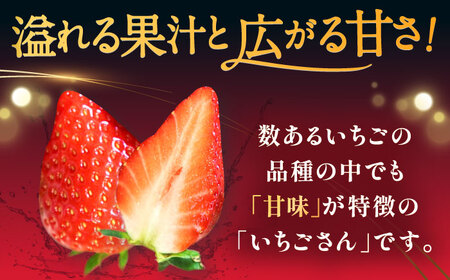 【先行予約】【ジューシーな濃厚いちご】いちごさん 500g（250g×2パック） / 苺 イチゴ いちご フルーツ 果物 / 佐賀県 / さかもとさんの畑[41ABAA002]