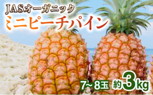 2026年 先行予約 パイナップル ついに実現！転換期間中　JASオーガニック ミニピーチ 3kg (7～8玉) 果物 フルーツ