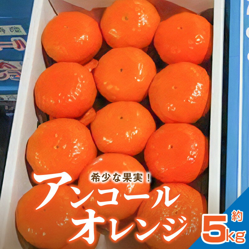 【ふるさと納税】【先行予約】【配送不可地域：北海道・沖縄県・離島】希少な果実！「アンコールオレンジ」 約5kg 秋 旬 五色青果