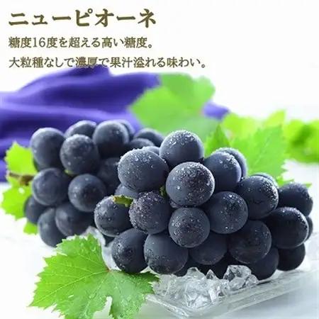【2026年6月下旬より順次発送】岡山県産シャインマスカット 晴王・ニューピオーネ3Lサイズ詰合せ【配送不可地域：離島・北海道・沖縄県】【1308721】