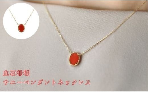珊瑚 血赤珊瑚 サニーペンダント ネックレス K10イエローゴールド 天然 サンゴ 一点物 アクセサリー 厄除け お守り クリスマス バレンタイン 誕生日プレゼント 記念日 ホワイトデー ジュエリー 大人可愛い ギフト さんご サンゴ 高知県室戸市