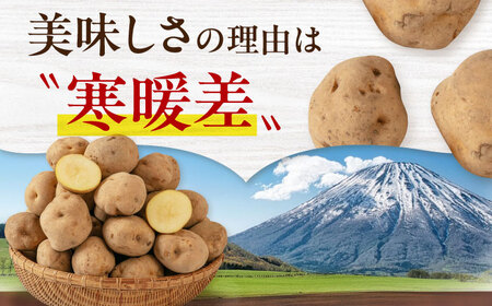 【2025年1月以降順次発送】じゃがいも 食べ比べセット 10kg ( 男爵芋 きたかむい 各 5kg ) 　《喜茂別町》　【Aコープようてい】 ジャガイモ 男爵芋 きたかむい 季節の野菜 北海道[A
