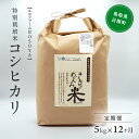 【ふるさと納税】【12カ月連続お届け】新米 令和6年産 海と天地のめぐみ米（コシヒカリ） 白米5kg