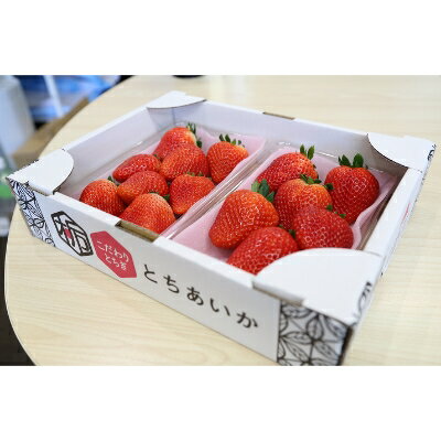 【ふるさと納税】【いちご王国の逸品】小山市産・「とちあいか」 280g×2P【配送不可地域：離島・北海道・沖縄県・信越、北陸・東海・近畿・中国・四国・九州】【1260981】