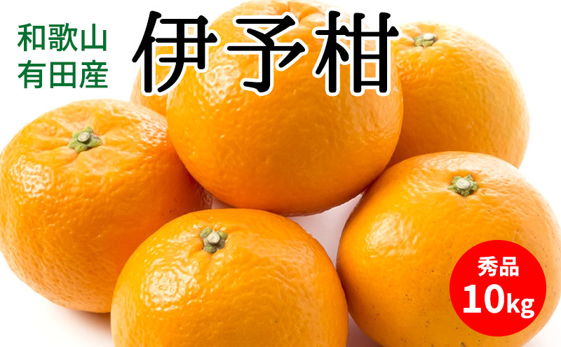 
                  【2027年先行予約】伊予柑 秀品 約10kg 和歌山県有田産【いよかん 柑橘 和歌山産】_U6307
                