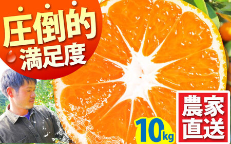 【2025年10月下旬〜発送】温州みかん 10kg / みかん  みかん みかん みかん みかん / 蜜柑屋まつお [SCQ002]