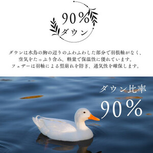 洗える羽毛合い掛け布団シングル ダウン90%350dp羽毛1.2kg 北欧デザイン ブルー【1443827】