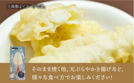 剣先イカ 一夜干（中）3杯《壱岐市》【株式会社マルショウ】 いか イカ 剣先いか セット おつまみ 一夜干し [JEW006] 15000 15000円 コダワリイカ・いか こだわりイカ・いか おすす