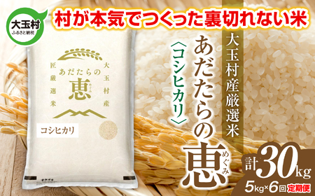 【定期便】大玉村産厳選米「あだたらの恵」　（品種：コシヒカリ）30kg（5kg×6回） | on-ak-5kg-t6-r7