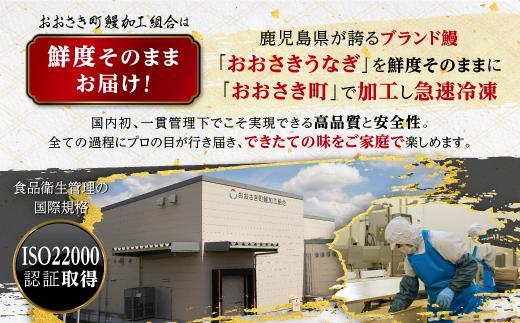 鹿児島県産長蒲焼特大3尾(200g以上×3尾)【鰻 国産うなぎ蒲焼き たれ うな重 ひつまぶし ウナギ 蒲焼 特大 人気 おすすめ 鹿児島県 大崎町 A932】