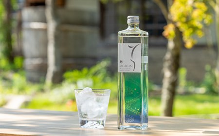 天山名水でつくる小城のクラフトジン OGIGIN想オリジナル700ml X 12本セッ F112-001