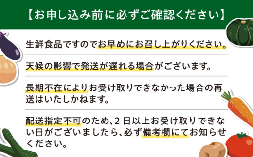 【2026年8月以降順次発送】【全3回定期便】【8～10月限定】 朝採れ 旬の野菜 詰め合わせ 《喜茂別町》【ニセコビュープラザ直売会協同組合】 メロン トウモロコシ とうもろこし 定期便 北海道 先行予約 朝採れ [AJAH004] 37000 37000円