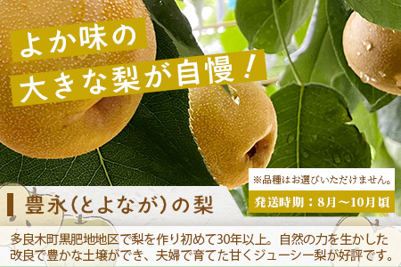 【フルーツ3回定期便B】2026年発送分 アンデスメロン・桃・梨 3回配送 旬 フルーツ 定期便 数量限定 メロン 球磨の桃 豊永の梨 果物 名産 熊本 多良木町