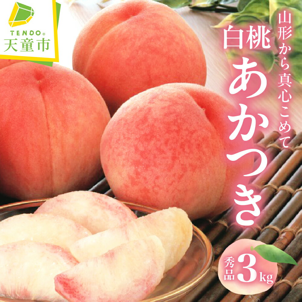 【ふるさと納税】 もも ( あかつき ) 3kg 山形県産 桃 白桃 果物 フルーツ 秀品 6〜14玉 のし 贈答 ギフト おすそ分け 旬 夏 期間限定 冷蔵便 送料無料 先行予約 【 山形県 天童市 】