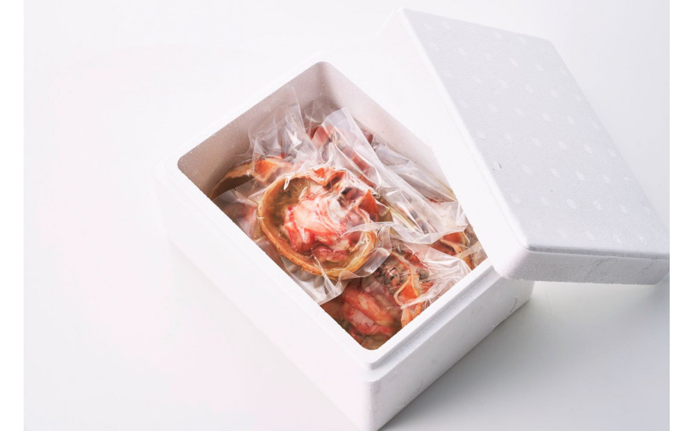 【2025年9月先行受付】佐渡島直送！浜茹で紅ズワイガニ甲羅盛り100g×5パック 蟹ミソ入り　ふるさと納税