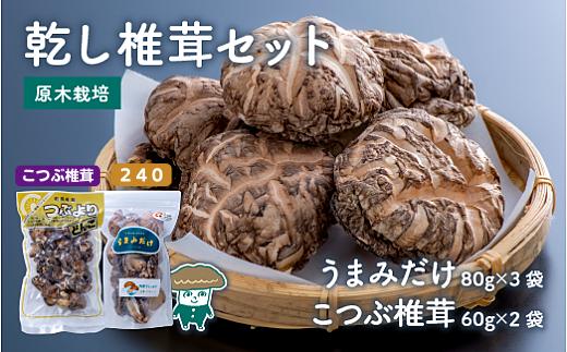 乾燥椎茸（シイタケ） 乾し椎茸セット360g【大分県新ブランドうまみだけ240、こつぶ椎茸】 | 椎茸 シイタケ しいたけ 干し椎茸 ブランドしいたけ 干椎茸 きのこ ギフト 国産 産地直送 豊後高田市
