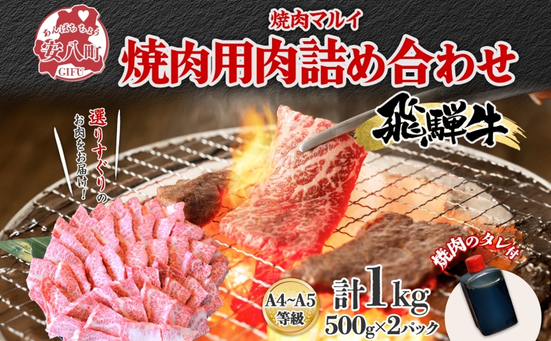 飛騨牛 焼肉用 A4～A5等級使用 約1kg 500g×2パック 肉 牛肉 和牛 ブランド牛 お肉 ビーフ A4ランク A5ランク 国産 お取り寄せ ご褒美 豪華 グルメ 焼肉 BBQ パーティー ギフト 贈り物 自家用 贈答用 送料無料 焼肉マルイ 岐阜県 【 安八町 】