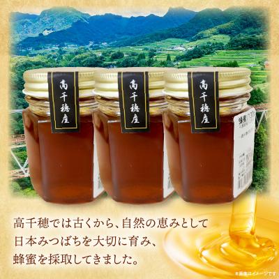 ふるさと納税 高千穂町 日本みつばち 高千穂の純粋蜂蜜 130g×3本 |  | 01