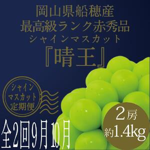 [HS]【定期便 全2回】ぶどう 2026年 先行予約 9月・10月発送 最高級品シャイン マスカット 晴王 2房 〈合計約1.4kg〉 ブドウ 葡萄  岡山県産船穂産 フルーツ 果物 ギフト