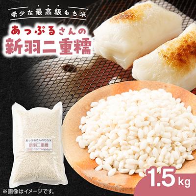 ふるさと納税 与謝野町 【京都府固有種・希少もち米】 新羽二重糯1.5kg 　冷めてもやわらかい、最高級のもち米　農家直送