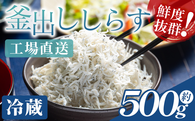【冷蔵】釜出ししらす(ちりめん) 約500g - 国産 ちりめん しらす シラス 稚魚 魚介 魚 海産物 釜茹で ドロメ サラダ 和え物 アレンジ 料理 ご飯のお供 三浦屋海産 高知県 香南市 冷蔵 mu-0009