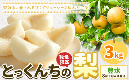【2026年先行予約】とっくんちの梨 豊水 約3kg 鈴木農園《8月下旬-9月中旬頃出荷》茨城県 結城市 数量限定 果物 フルーツ 甘み ジューシー 豊か 芳香 しゃりっ 爽やかな 季節【配送不可地域あり】(離島)