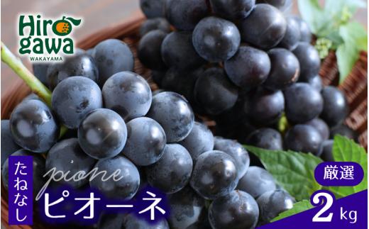 ピオーネ たねなし 2kg 厳選 / ぶどう 種無し 甘い 高級 和歌山 ※2026年8月中旬～9月中旬に順次発送 ※北海道・沖縄・離島への配送不可 【tec511-p-2B】
