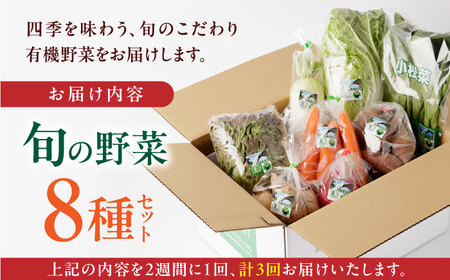 【全3回隔週定期便】有機野菜 8種セット 詰め合わせ 野菜詰め合わせ 熊本県産有機野菜 山都町産有機野菜 産地直送 高原野菜 新鮮有機野菜 採れたて有機野菜 旬 有機野菜セット 有機野菜食べ比べ 九州