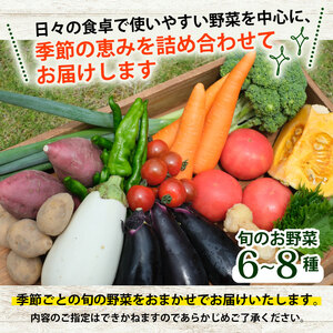 【産地直送】旬のお野菜詰め合わせ 6～8種類 ( 京野菜 野菜 お野菜 やさい セット 野菜セット 詰め合わせ 詰め合わせセット 季節 旬 旬野菜 産地直送 栄養 安心 新鮮 おすすめ きよしファーム