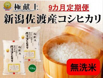 無洗米10kg 新潟県佐渡産コシヒカリ10kg(5kg×2)×9回「9カ月定期便」