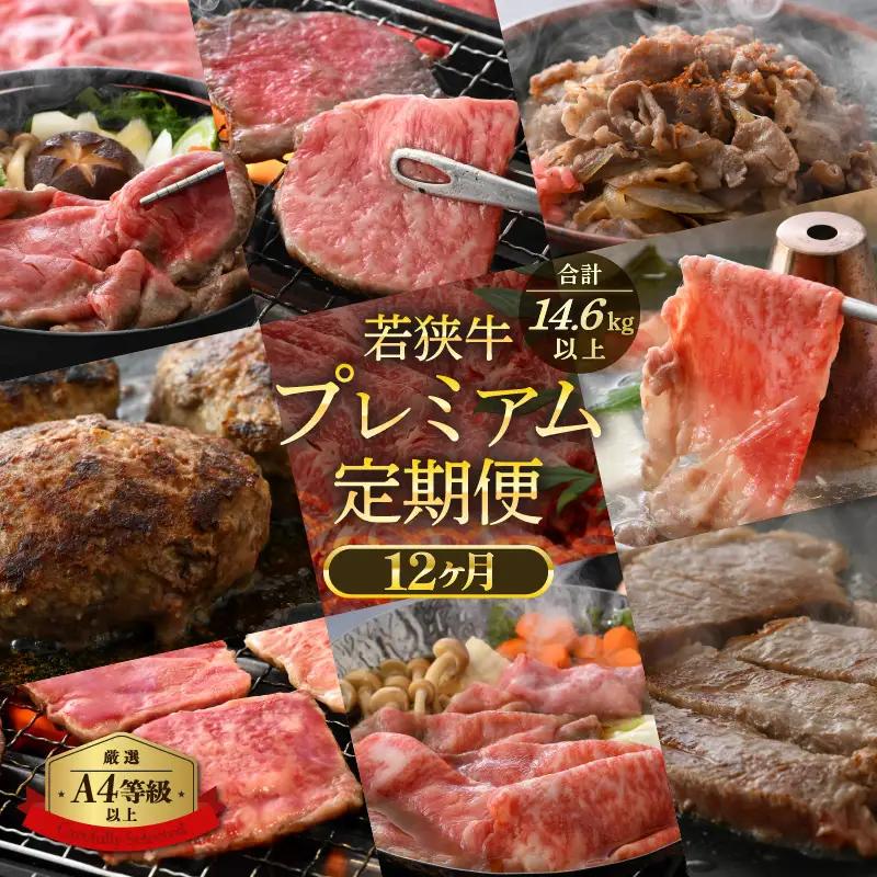 【定期便12ヶ月】 肉好き満足！和牛 若狭牛ボリューム満点 厳選 食べ比べ計14.6kg以上 [e02-r001]