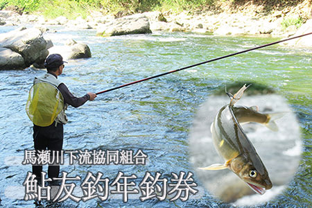 【令和8年】馬瀬川下流 鮎友釣年釣券 1枚【26-4】
