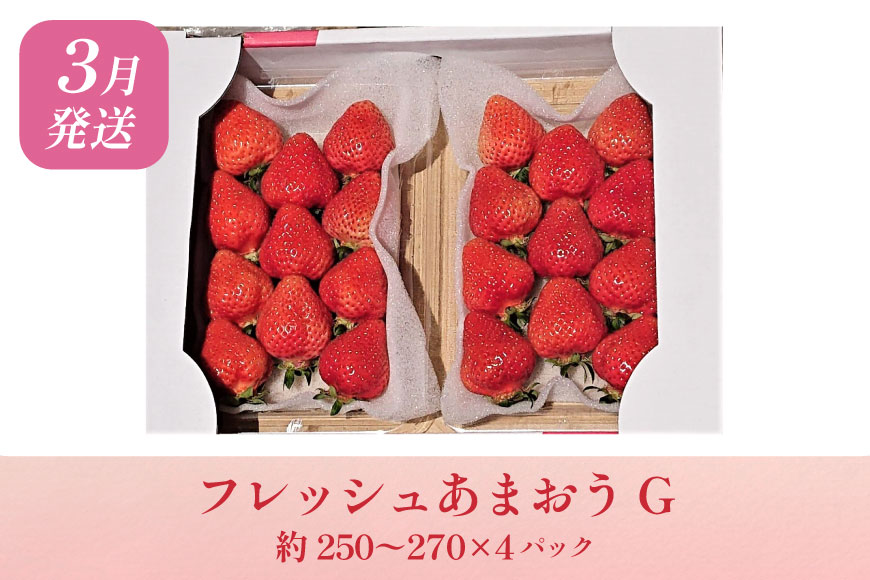 いちご あまおう 満喫セット 3回 定期便 [THE FARM_strawberry 福岡県 宇美町 um40azo780015] 苺 イチゴ 冷凍いちご 冷凍あまおう 甘い あまい アイス ジェラー