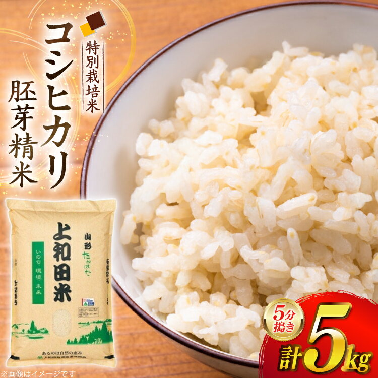 【ふるさと納税】 米 令和7年度 特別栽培米 コシヒカリ 胚芽精米 5分搗き米 5kg [上和田有機米生産組合 山形県 高畠町 tk06ays640018] お米 ブランド米 ごはん ご飯 おこめ 5キロ コシヒカリ 令和7年 令和7年産