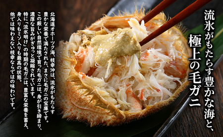 〈冷蔵発送〉流氷明け 枝幸沖 ボイル毛ガニ 500g前後×1尾 先行予約【2026年3月頃発送予定】旬の味覚［丸中三興水産］オホーツク枝幸 前浜【 蟹 魚介 北海道 枝幸 】