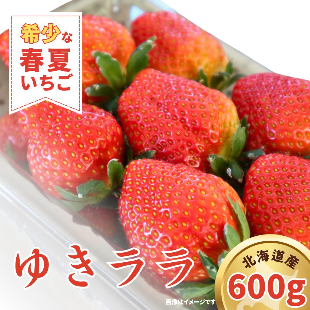 【ふるさと納税】【希少いちご2025年5月発送！期間限定商品】春夏イチゴ「ゆきララ」計600g《厚真町》【こばやしいちご農園】[AXBT002]